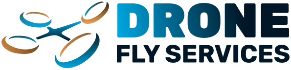 3D Logo - Drone Fly Services France
